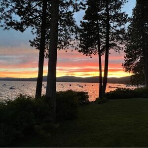 Meet your Posher, Carleen